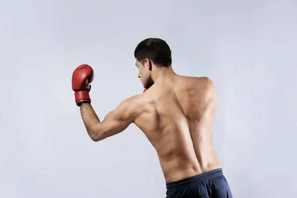 Atrakcyjne młody bokser — Zdjęcie stockowe