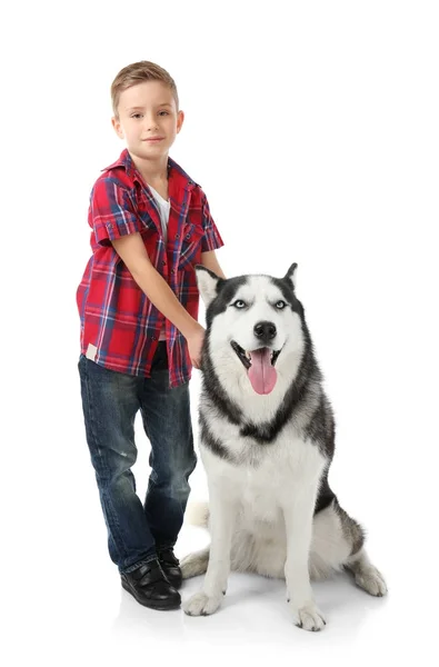 Menino bonito com Husky cão no fundo branco — Fotografia de Stock