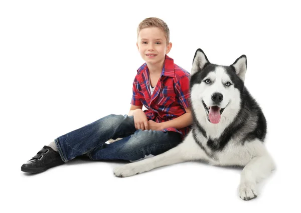Petit garçon mignon avec chien Husky sur fond blanc — Photo