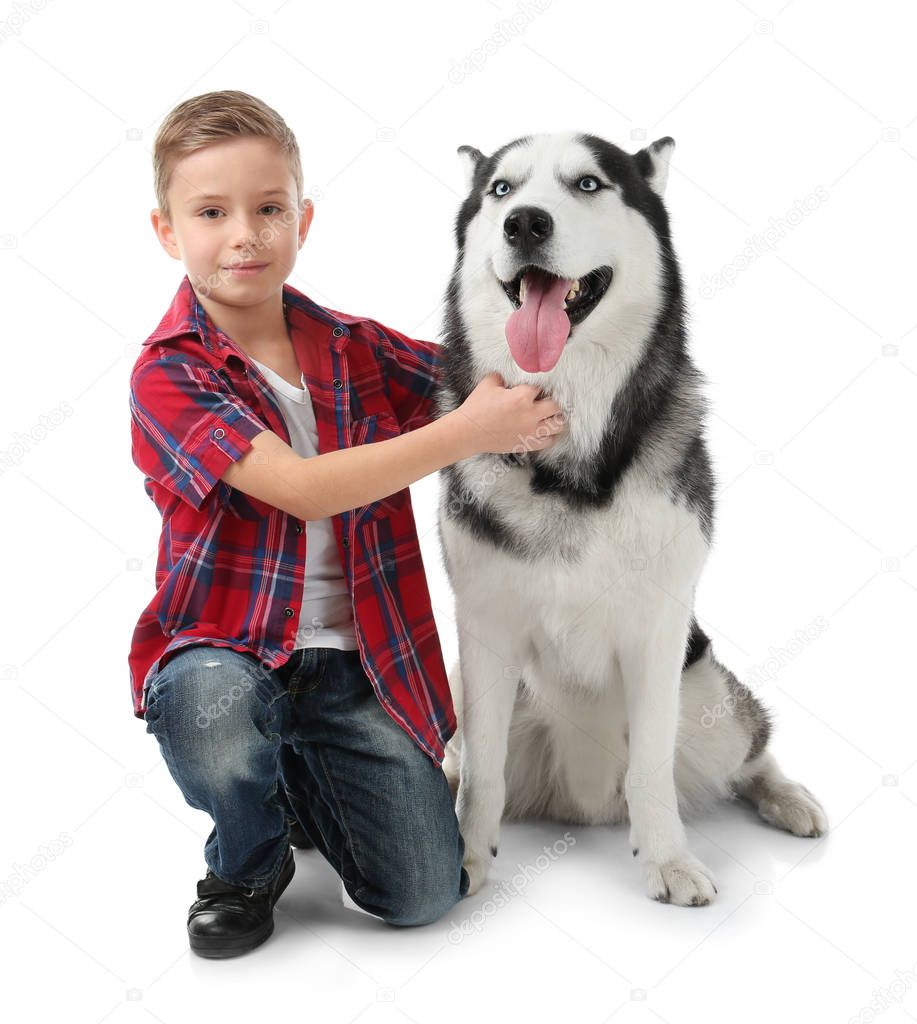 Cute little boy with Husky dog on white background
