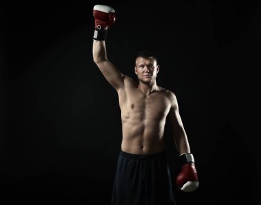 Çekici genç boksör 