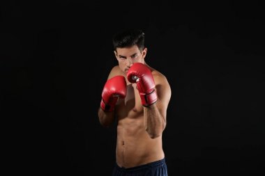 Çekici genç boksör 