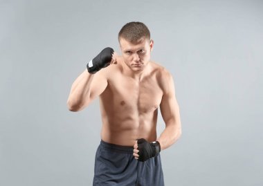 Çekici genç boksör