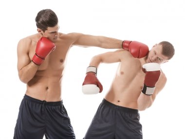 Çekici genç boksörler mücadele 