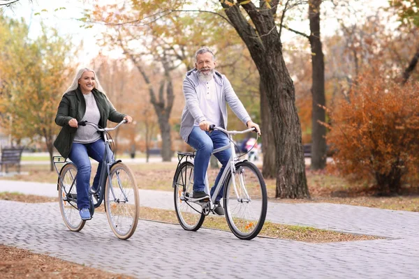 Couple Aîné Vélo Dans Parc — Photo