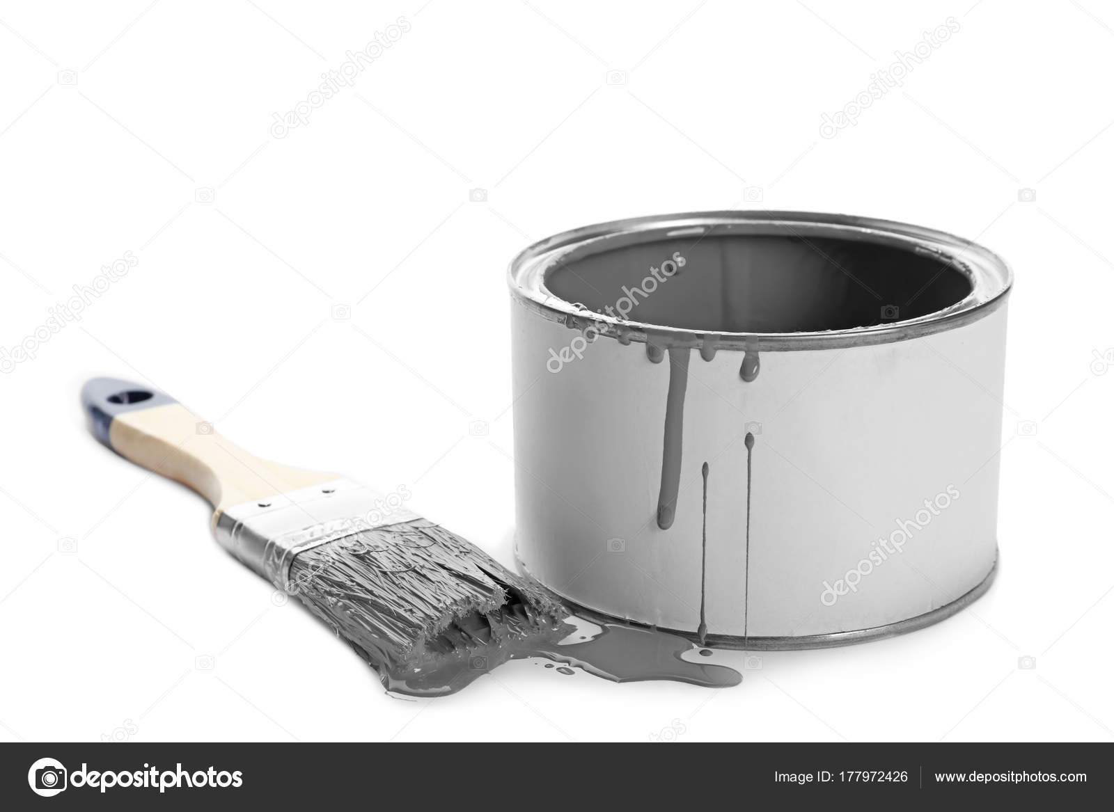 Pot Peinture Grise Pinceau Sur Fond Blanc Photographie Belchonock