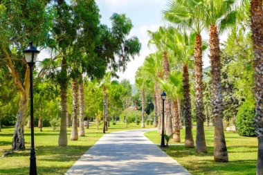 Sokak Resort tropikal palmiye ağaçları ile