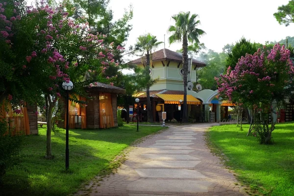 Indah Pemandangan Taman Musim Panas Hijau — Stok Foto