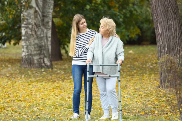 Jonge Vrouw Haar Bejaarde Oma Met Frame Herfst Park Wandelen — Stockfoto