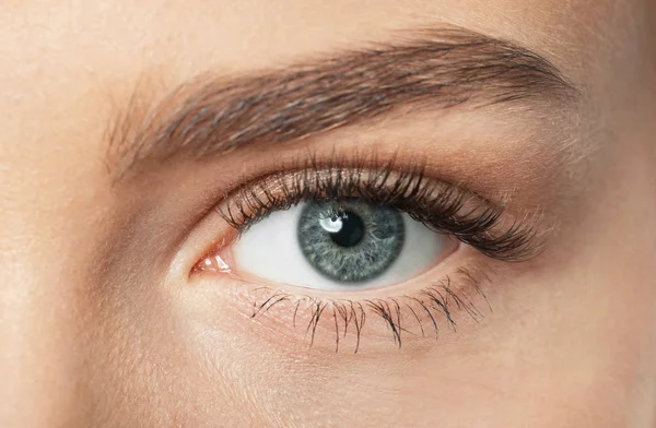 Weibliches Auge Mit Langen Wimpern Nahaufnahme — Stockfoto