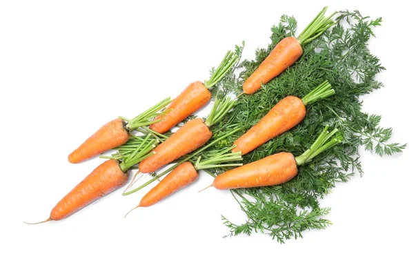 स्वादिष्ट परिपक्व गाजर — स्टॉक फ़ोटो, इमेज