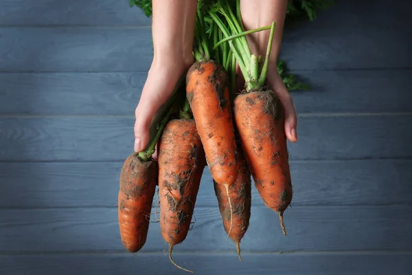 Mujer sosteniendo zanahorias maduras — Foto de Stock