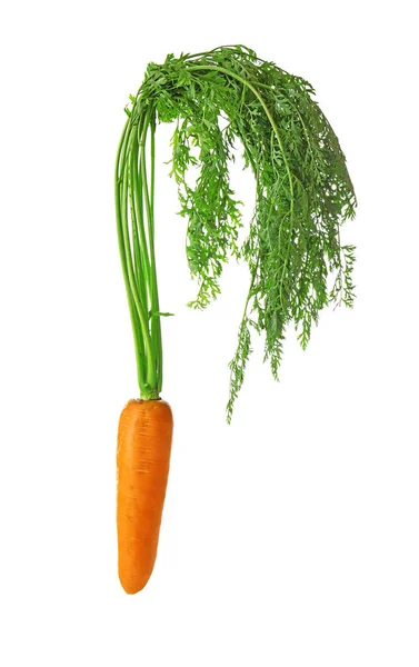 Sabrosa zanahoria madura — Foto de Stock