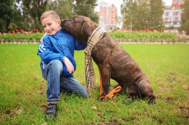 Açık havada köpeğiyle şirin küçük çocuk