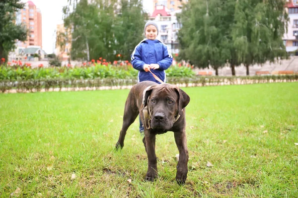 Açık havada köpeğiyle şirin küçük çocuk — Stok fotoğraf