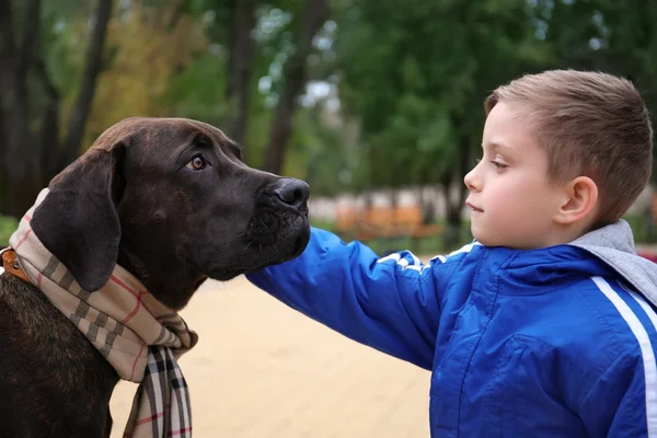 Mignon petit garçon avec son chien à l'extérieur — Photo