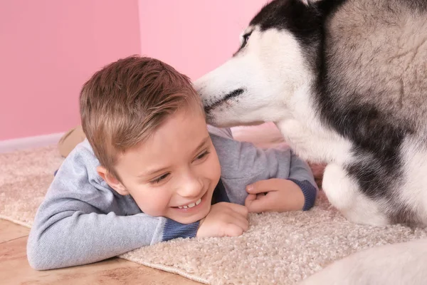 Menino bonito com Husky cão em casa — Fotografia de Stock