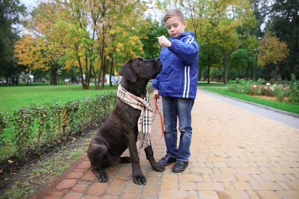 Roztomilý malý kluk se svým psem na podzim park — Stock fotografie