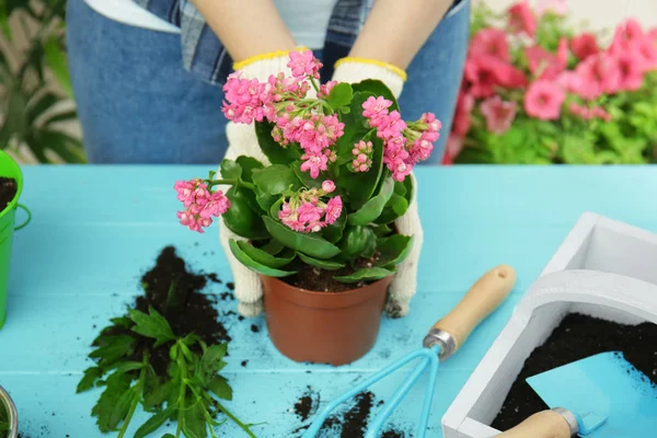 Woman planting flower in pot on wooden table — Stock Photo, Image