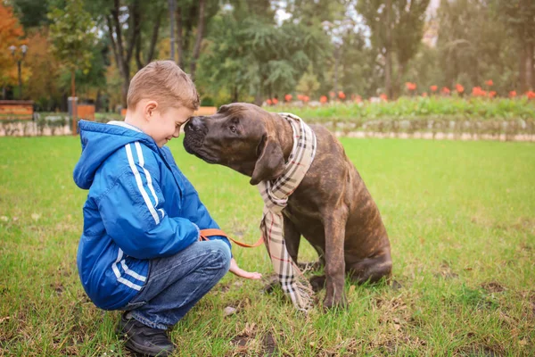 Lindo niño con su perro al aire libre —  Fotos de Stock