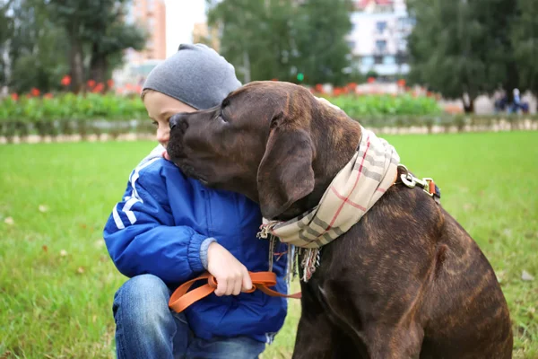 Söt liten pojke med sin hund utomhus — Stockfoto