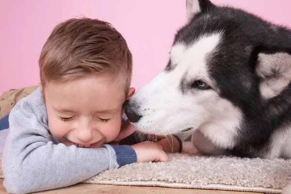 Menino bonito com Husky cão em casa — Fotografia de Stock