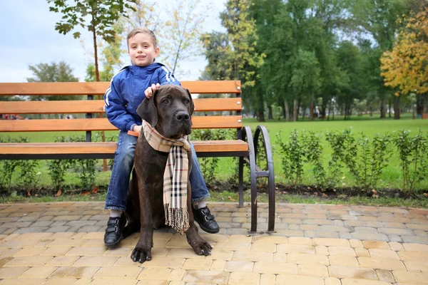 Mignon petit garçon avec son chien à l'extérieur — Photo