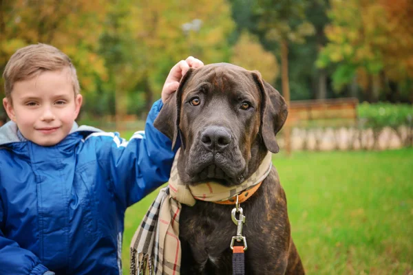 Mignon petit garçon avec son chien à l'extérieur — Photo