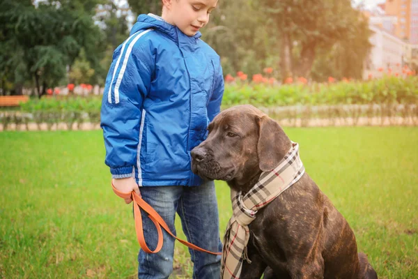 Mignon petit garçon avec son chien à l'extérieur — Photo