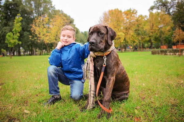 Mignon petit garçon avec son chien à l'extérieur — Photo