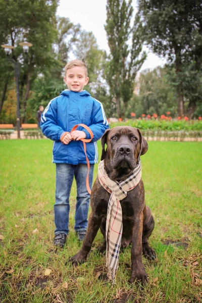 Mignon petit garçon avec son chien à l'extérieur — Photo