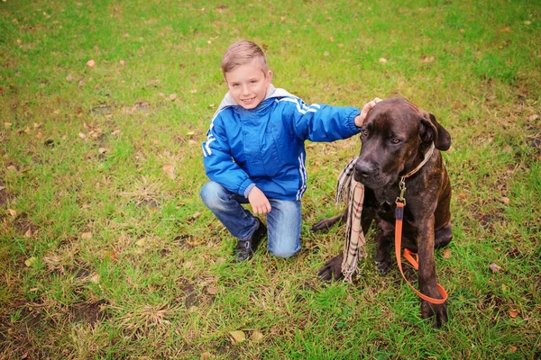 Netter kleiner Junge mit seinem Hund im Freien — Stockfoto