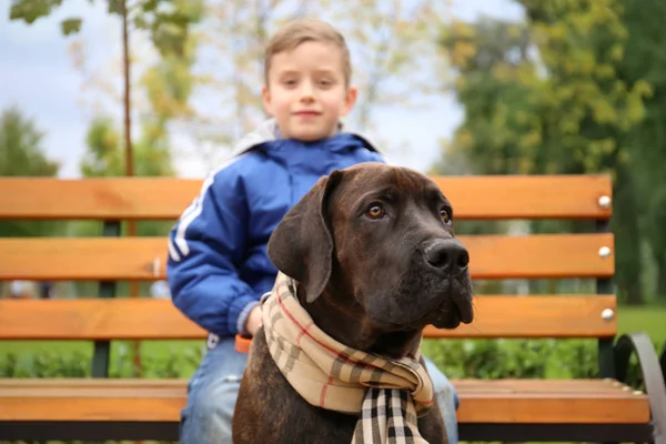 Mignon petit garçon avec son chien à l'extérieur — Photo