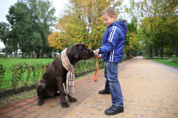 Lindo niño con su perro en el parque de otoño —  Fotos de Stock