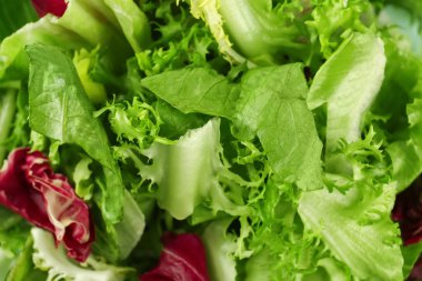 Taze yeşil salata karışımı, portre
