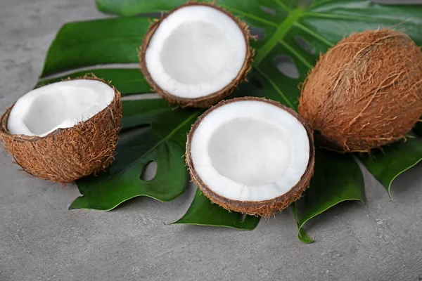 Hoja verde con cocos frescos sobre fondo gris — Foto de Stock