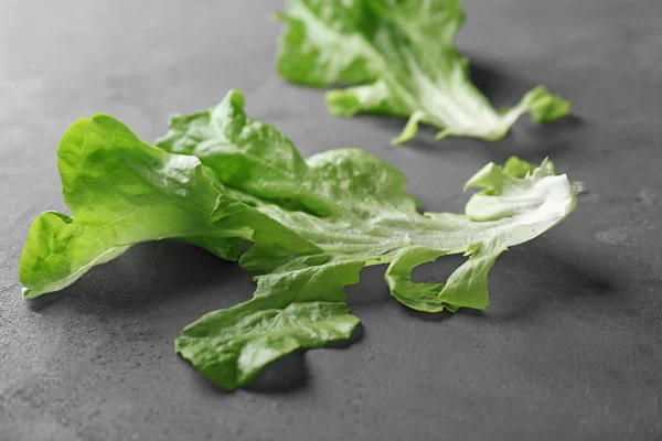 Hojas de ensalada verde fresca en la mesa — Foto de Stock