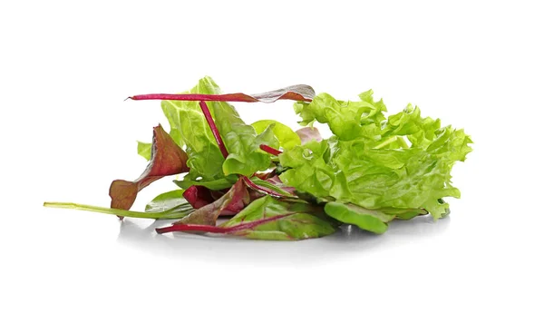 Mix di diverse insalate su sfondo bianco — Foto Stock