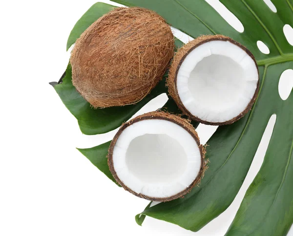 白い背景の上の葉と熟したココナッツ — ストック写真