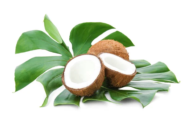 白い背景の上の葉と熟したココナッツ — ストック写真
