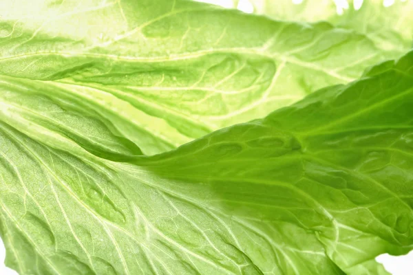 Hoja de ensalada verde fresca, primer plano — Foto de Stock