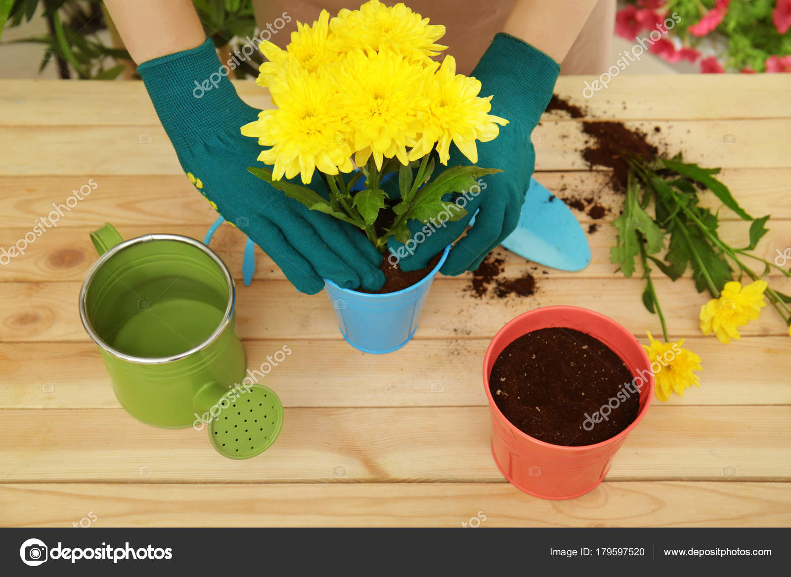 planter des fleurs en pot planter des fleurs en pot