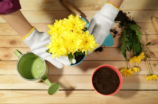 Frau pflanzt Blume im Topf auf Holztisch — Stockfoto