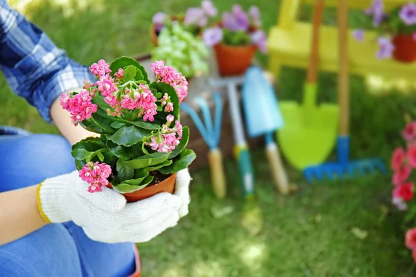 Vrouw het verzorgen van planten in achtertuin — Stockfoto
