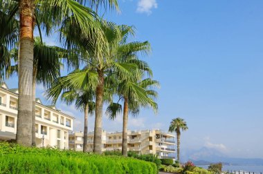Deniz resort güzel manzarasına güneşli