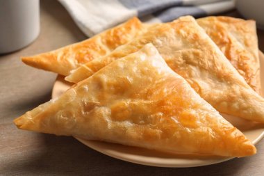 Lezzetli fırında samosas