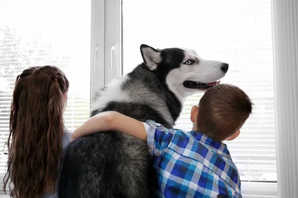 Niedliche kleine Kinder mit Husky-Hund am Fenster zu Hause — Stockfoto