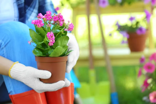 Woman taking care of plants in backyard — Stock Photo, Image