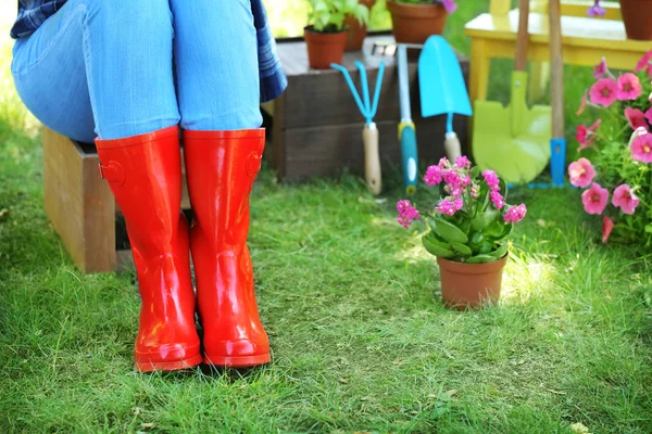 Vrouw met pot plant en tuinieren hulpmiddelen zitten in achtertuin — Stockfoto