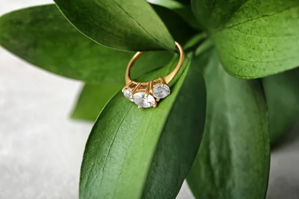 Piękny pierścionek zaręczynowy na liściach roślin, zbliżenie — Zdjęcie stockowe